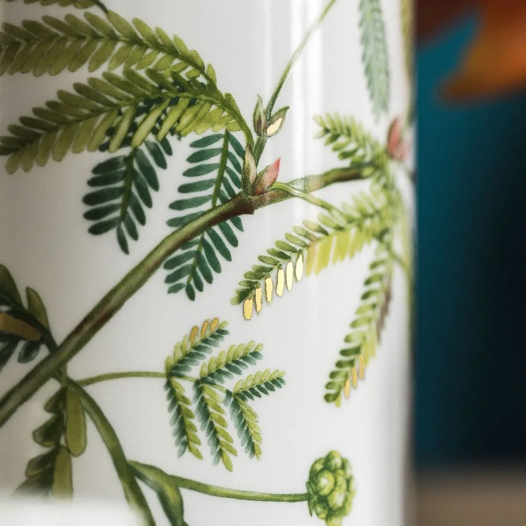 Villeroy & Boch Amazonia Dekovase, edles Design, vielseitig einsetzbar 2
